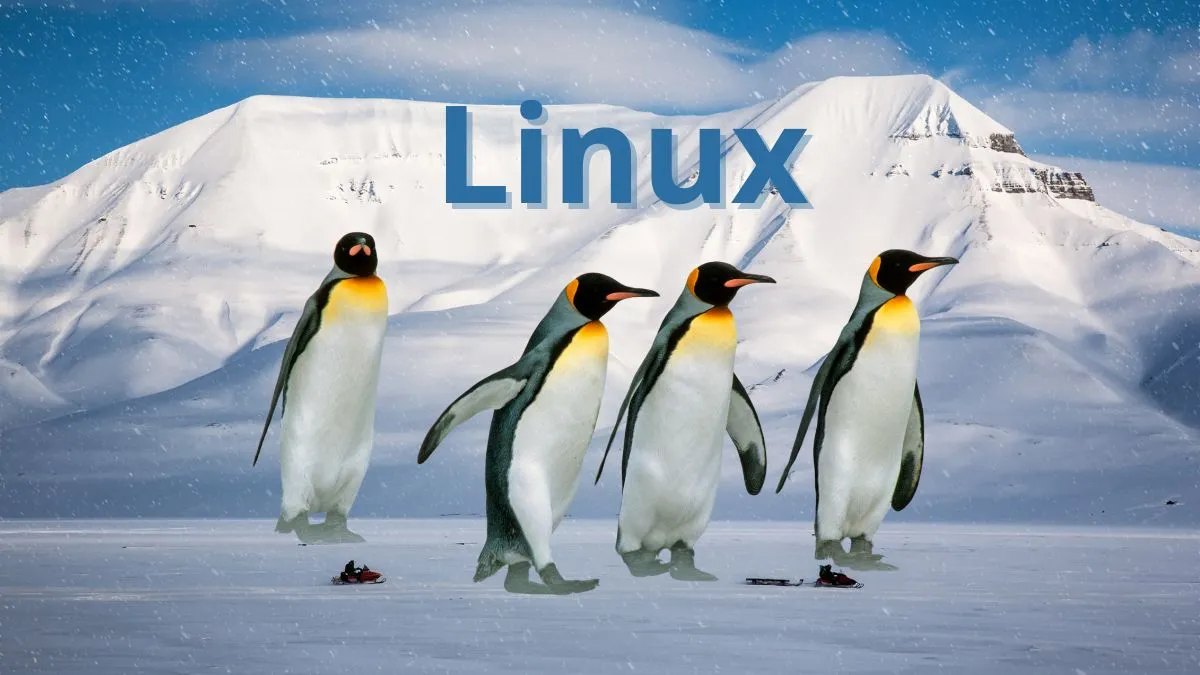 ¿Por qué Linux tiene un éxito tan espectacular?