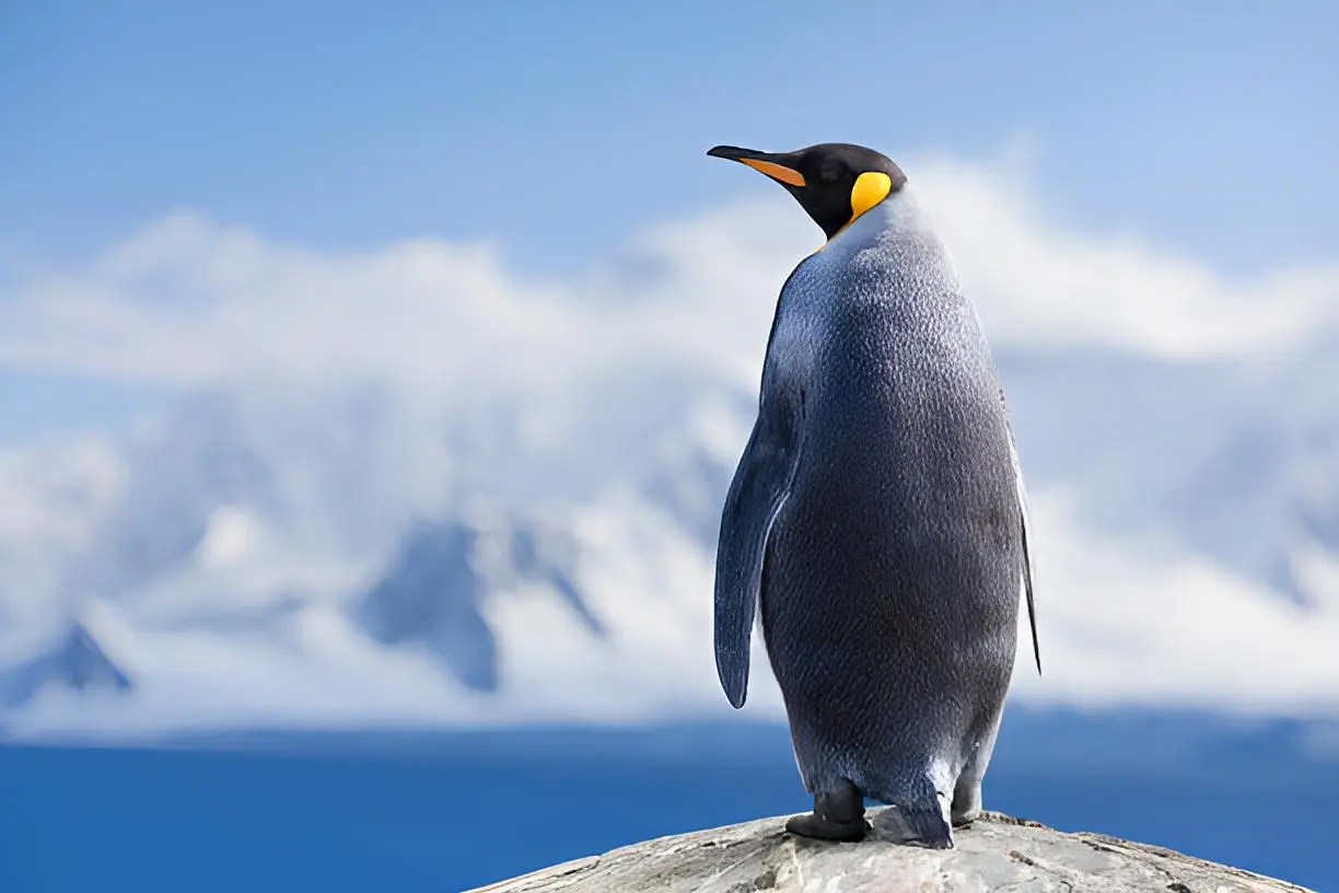 Linux 10 cosas que no sabias del sistema operativo